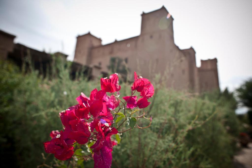 Kasbah Ait Ben Moro Hotel Skoura Exterior foto